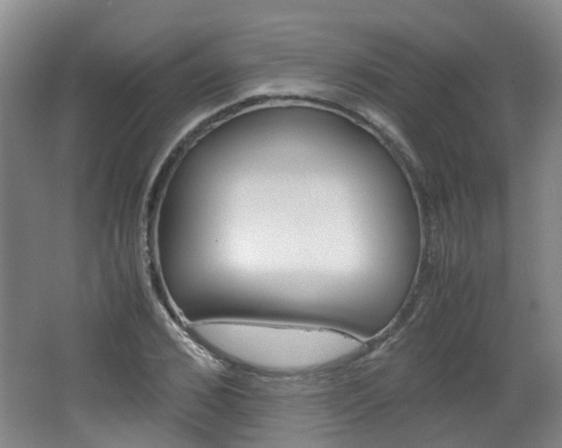 X0000062600976200512210906