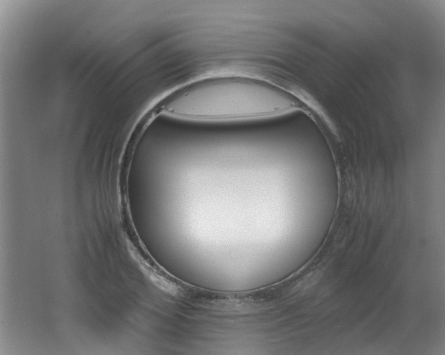 X0000062600980200512210906