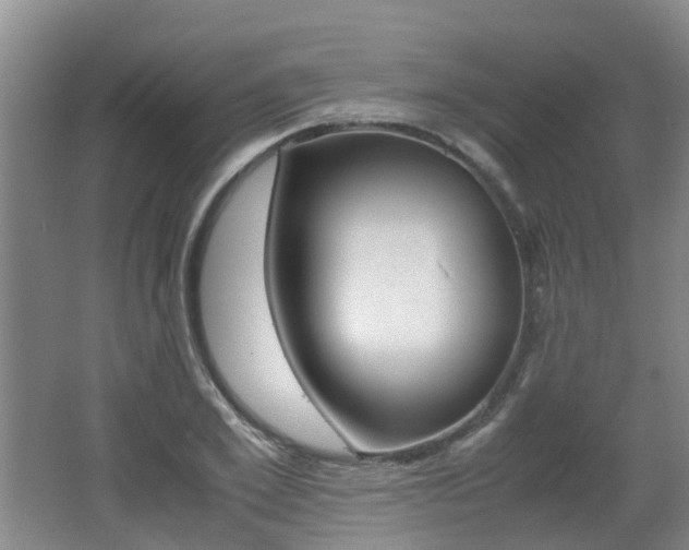 X0000062600981200512210906