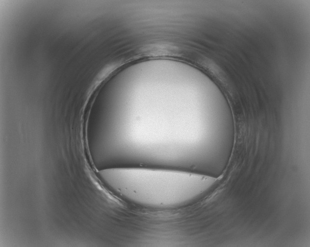 X0000062600986200512210906