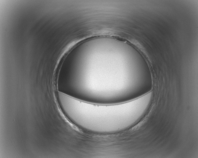 X0000062600989200512210906