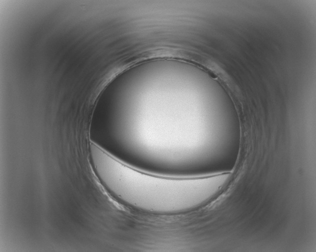 X0000062600993200512210905