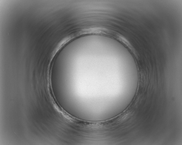 X0000062600994200512210905
