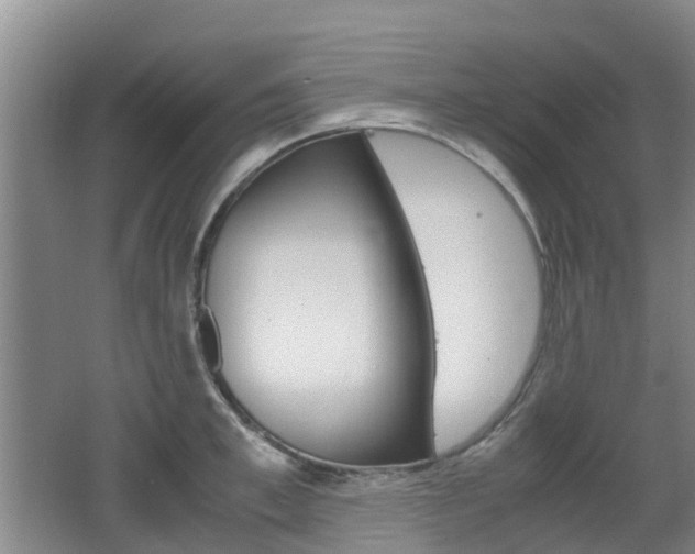 X0000062600997200512210905