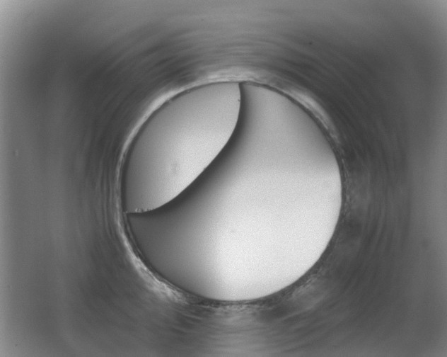 X0000062601000200512210905