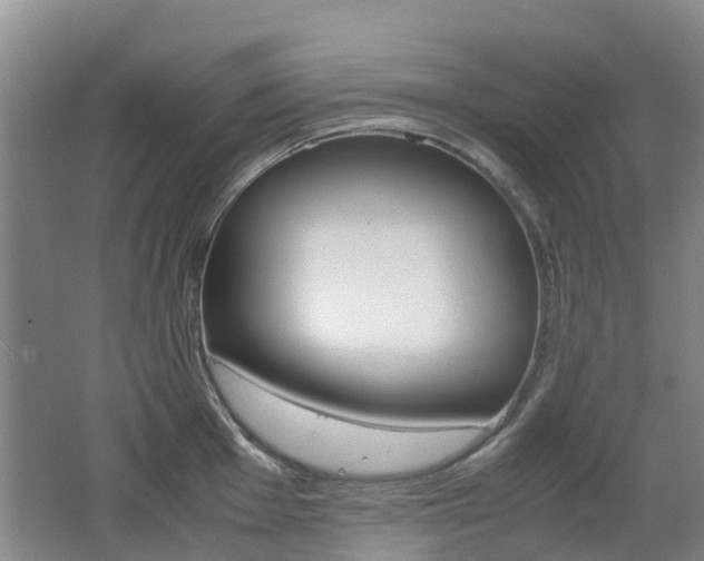 X0000062601001200512210905
