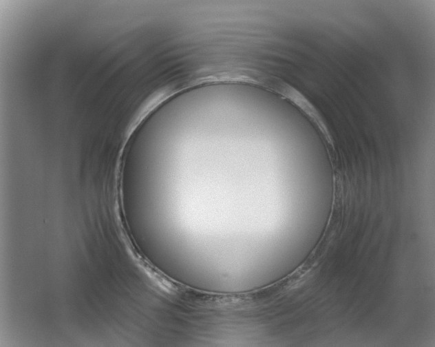 X0000062601002200512210905