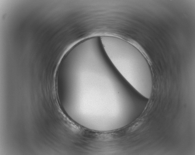 X0000062601004200512210905