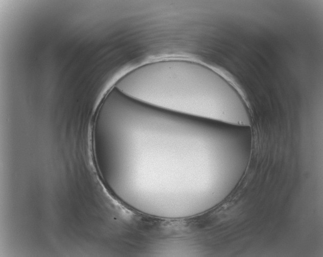 X0000062601006200512210905