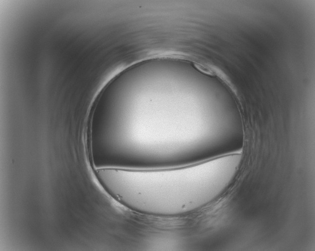 X0000062601007200512210905