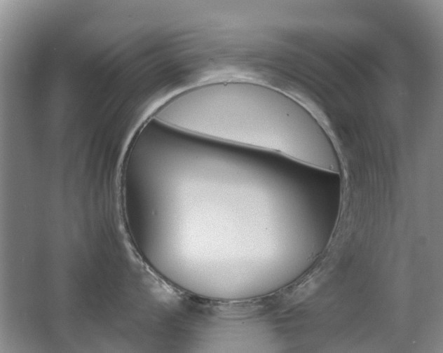 X0000062601008200512210905