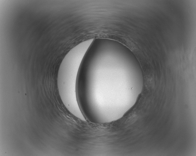 X0000062601010200512210904