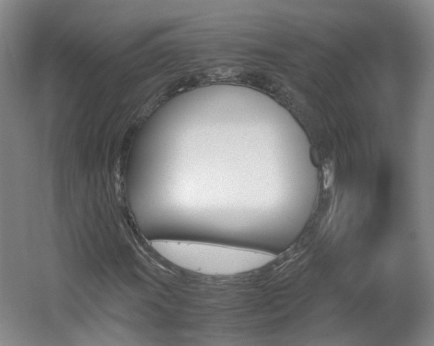 X0000062601011200512210904
