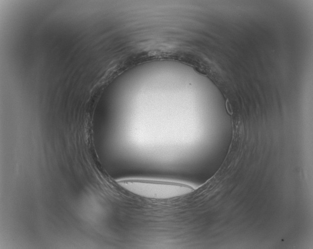 X0000062601012200512210904