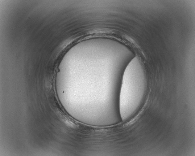 X0000062601017200512210905