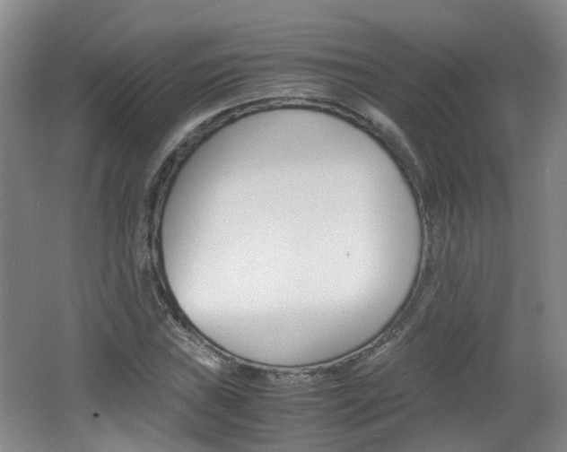 X0000062601019200512210905