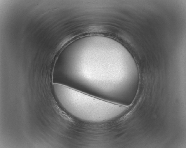 X0000062601025200512210905