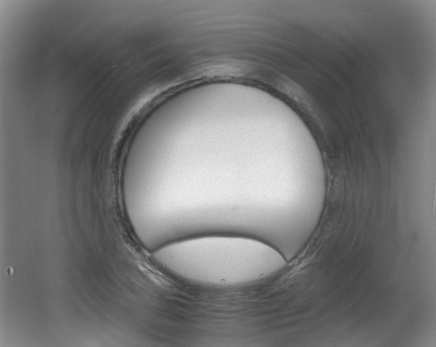 X0000062601027200512210905