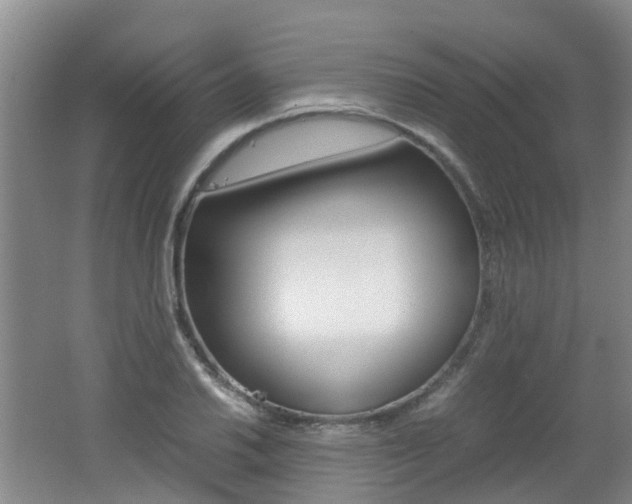 X0000062601030200512210905