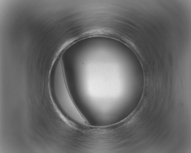 X0000062601034200512210905