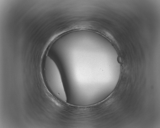 X0000062601035200512210905