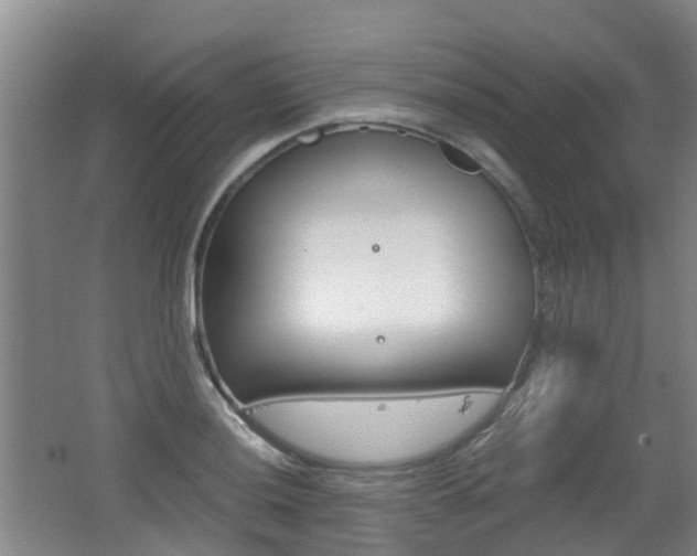 X0000062601036200512210905