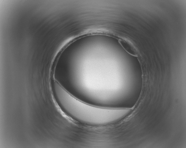 X0000062601038200512210905