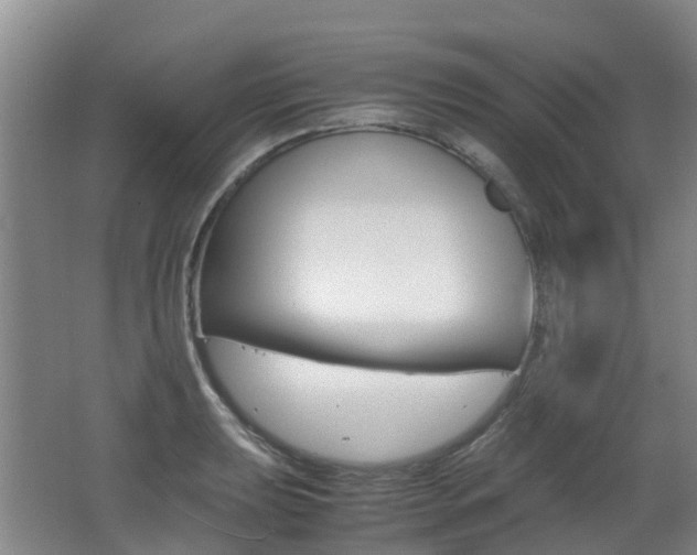 X0000062601039200512210905