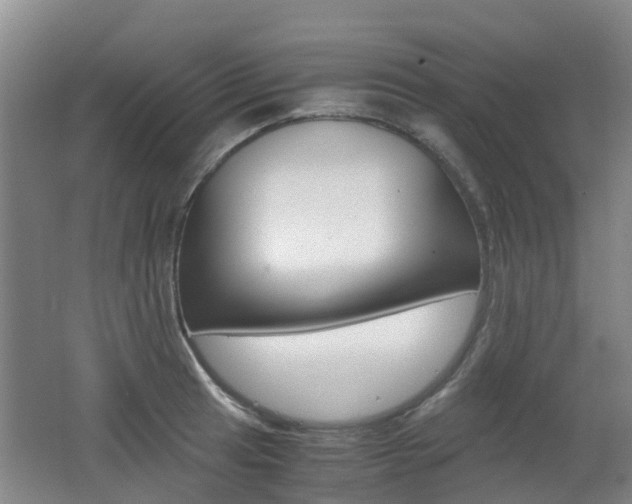 X0000062601041200512210905