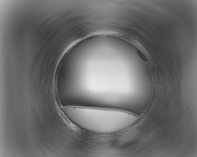 X0000062601044200512210905