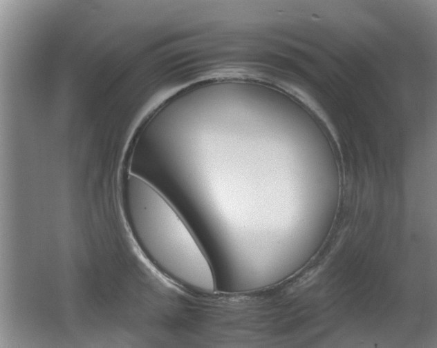 X0000062601045200512210905