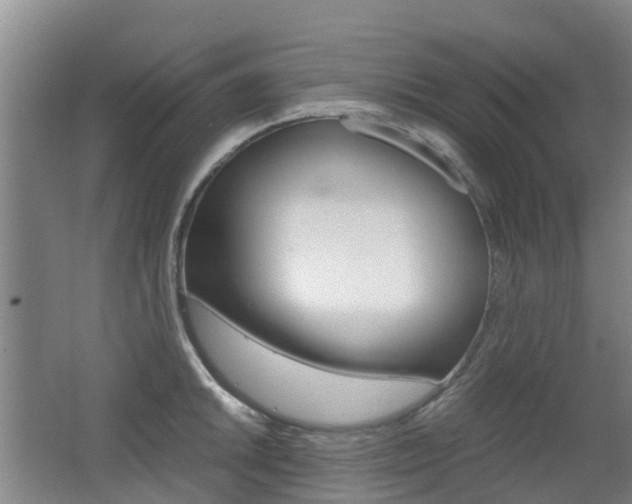 X0000062601046200512210905