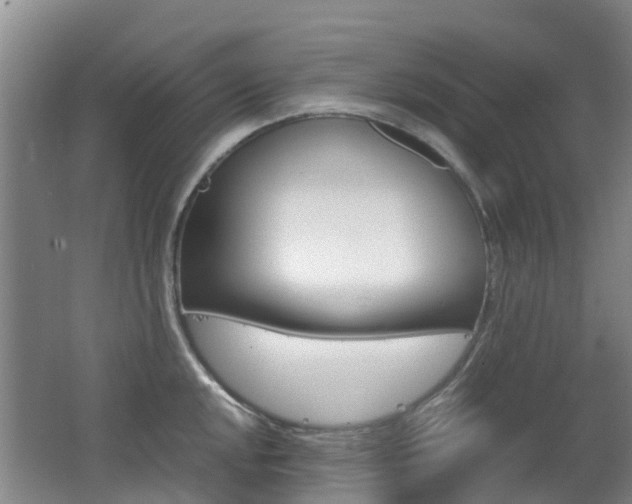 X0000062601048200512210905