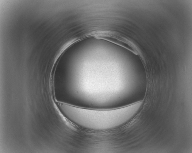 X0000062601050200512210905