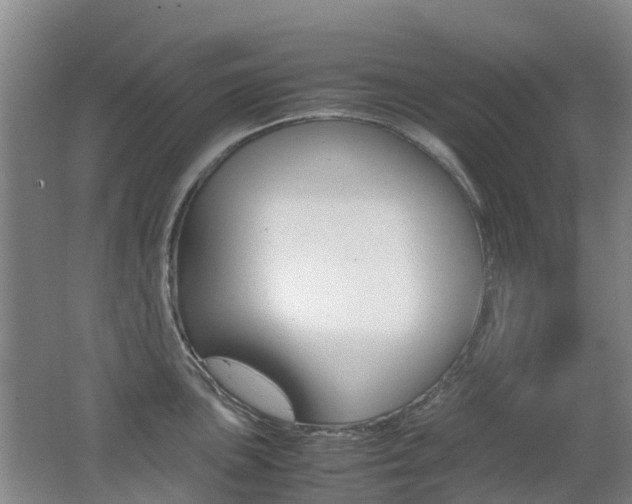 X0000062601051200512210905