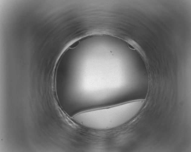 X0000062601052200512210905