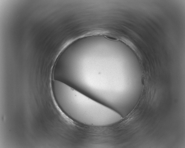 X0000062601055200512210905