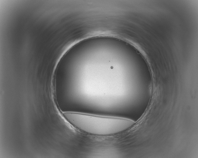 X0000062601056200512210905