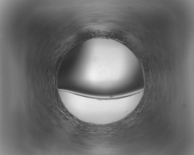 X0000062601061200512210904