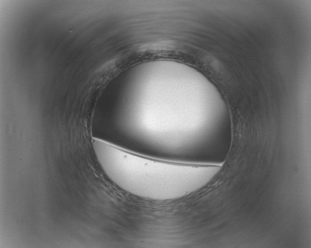 X0000062601062200512210904