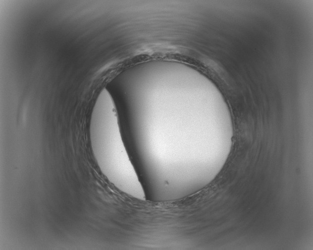 X0000062601063200512210904