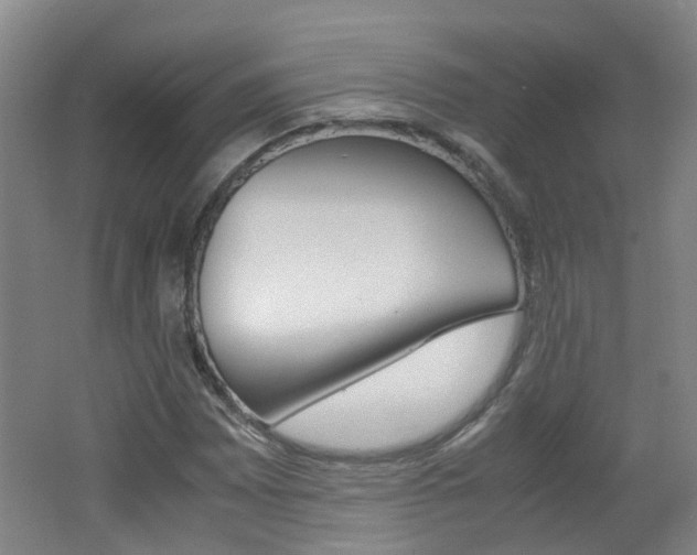 X0000062601065200512210904