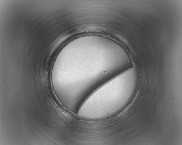 X0000062601066200512210904