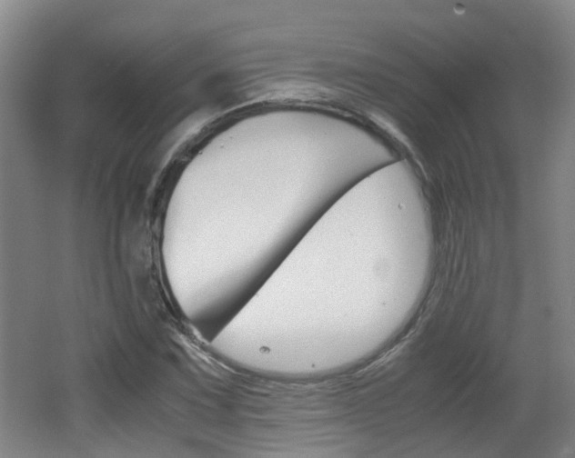 X0000062601067200512210904