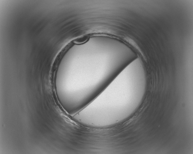 X0000062601068200512210904