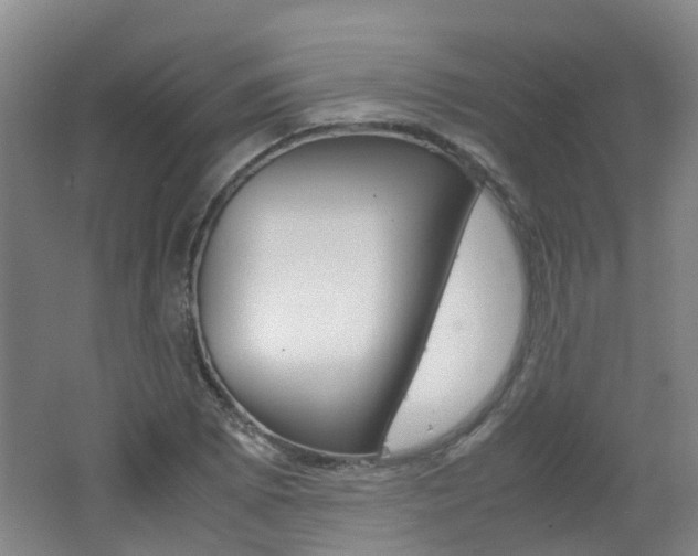X0000062601073200512210904