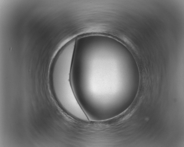 X0000062601077200512210904