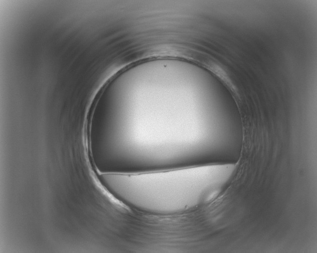 X0000062601084200512210904