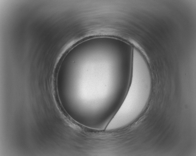 X0000062601085200512210904