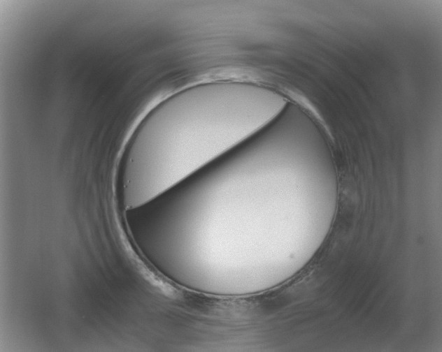 X0000062601091200512210904